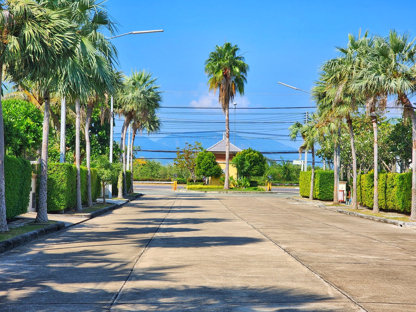 Tree-lined internal road inside Casa Seaside Cha-Am residential community