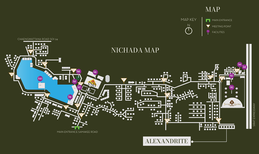Nichada-Alexandrite